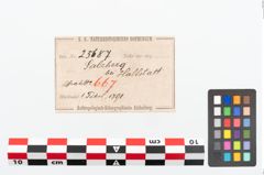 Etikett zu Bronzegitterradfibel (NHMW-PRAE-025687)
